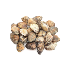 WHITE CLAM (L) (KG)