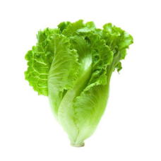 ROMAINE LETTUCE (KG)