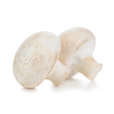 MUSHROOM BUTTON WHITE (2KG/BOX)