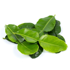 KAFFIR LIME LEAF 1KG x PKT