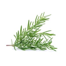 ROSEMARY 50GM X PKT